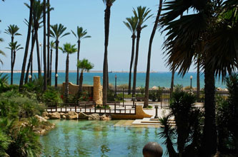 palmeral alicante